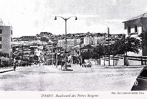 210- Tiaret - Bd des freres Sergent